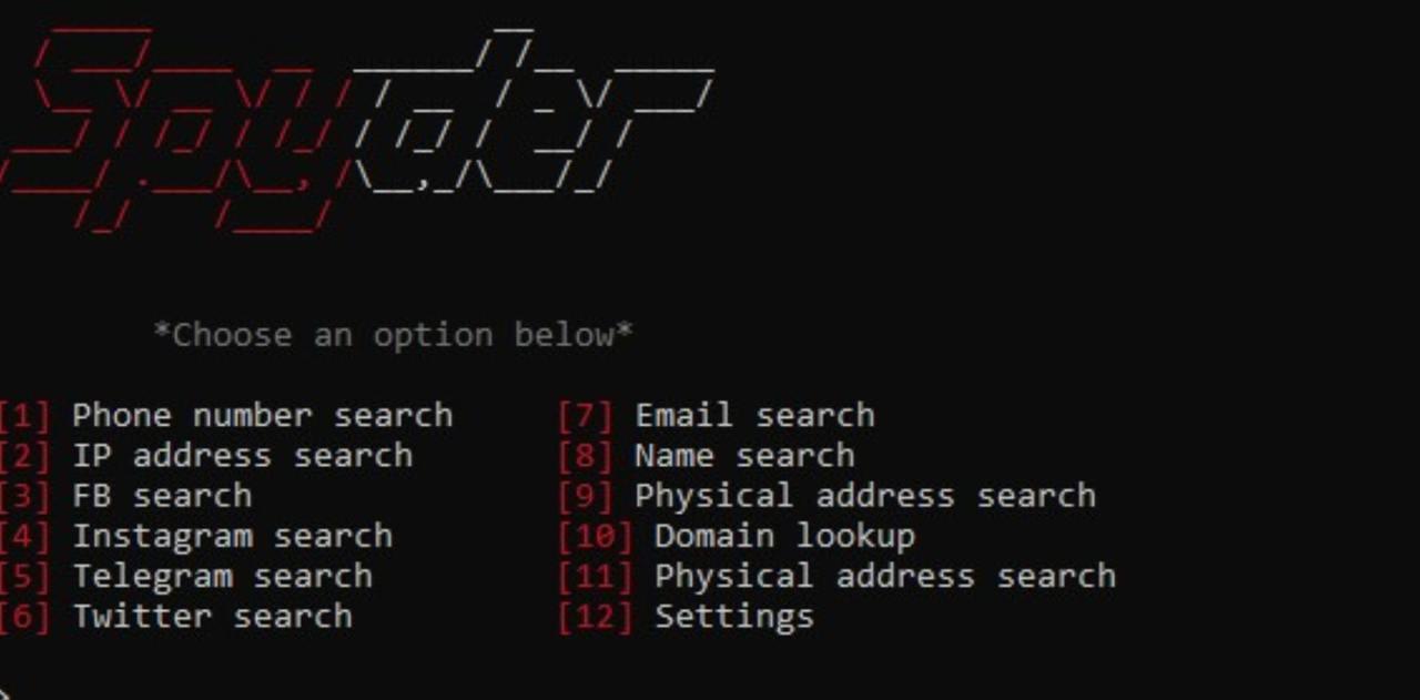 SpiderFoot: мощный инструмент для сбора информации о людях и объектах