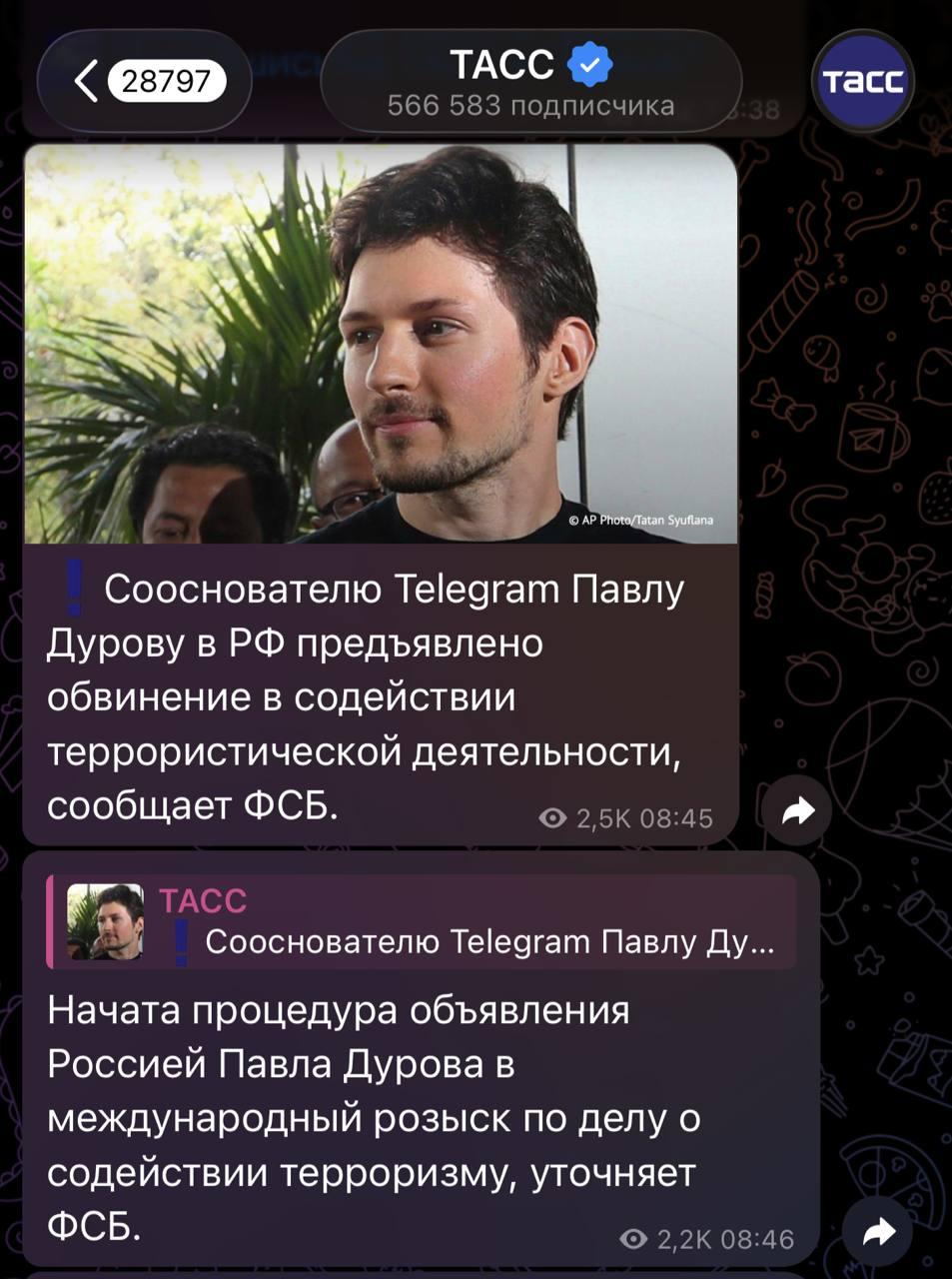 Telegram обвинили в содействии терроризму из-за бота Дайвинчик