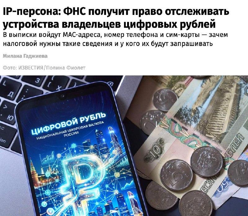 Налоговая получит доступ к данным цифровых рублей: что изменится