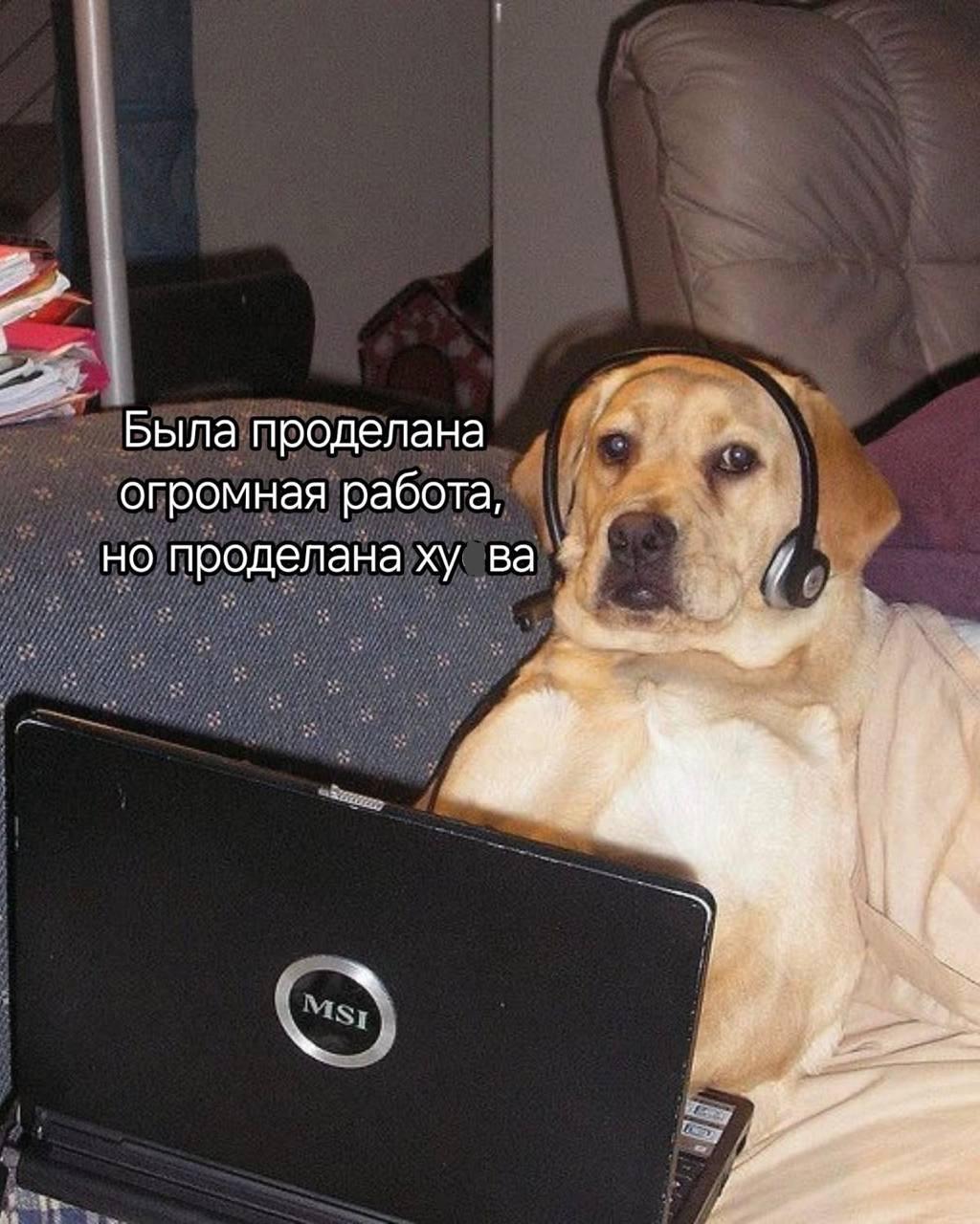 Резюме с мемами: как обмануть ИИ-скрининг в 2026 году