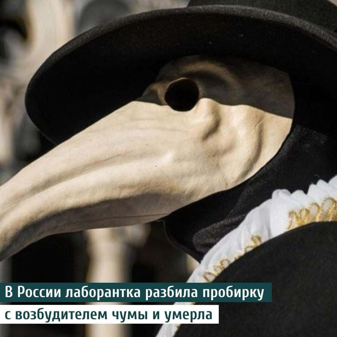 Из-за ЧУМЫ в России вводят масочный режим — первыми стали со