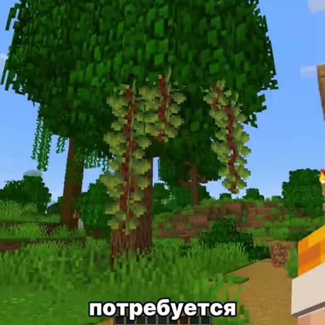 Minecraft: мод Kaleidoscope Tavern превратил кубань в симулятор пивовара