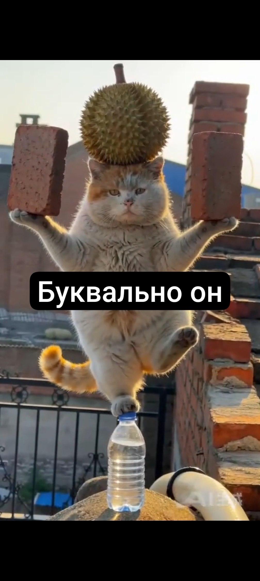 Шестой работа: как один человек справлялся с шестью должностями