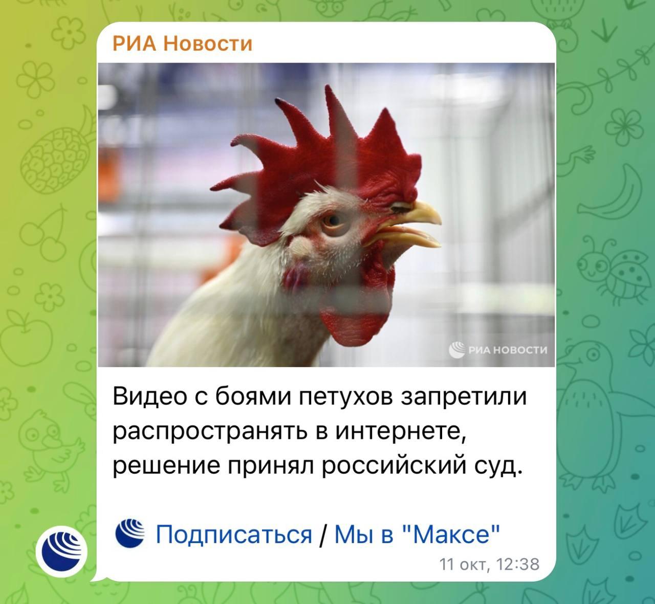 Петушиные бои в России теперь под ЗАПРЕТОМ — суд постановил,