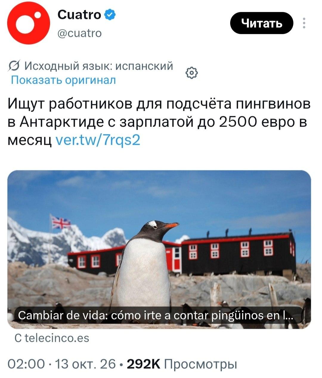 Смотрителя ПИНГВИНОВ с зарплатой 230 тыс. рублей ищут в Анта